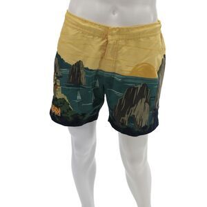 BLUEMINT Mens Printed Capri Swim Shorts Yellow Green Size 34